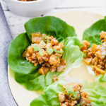 Asian Chicken Lettuce Cups from A Thousand Crumbs (1 of 8)